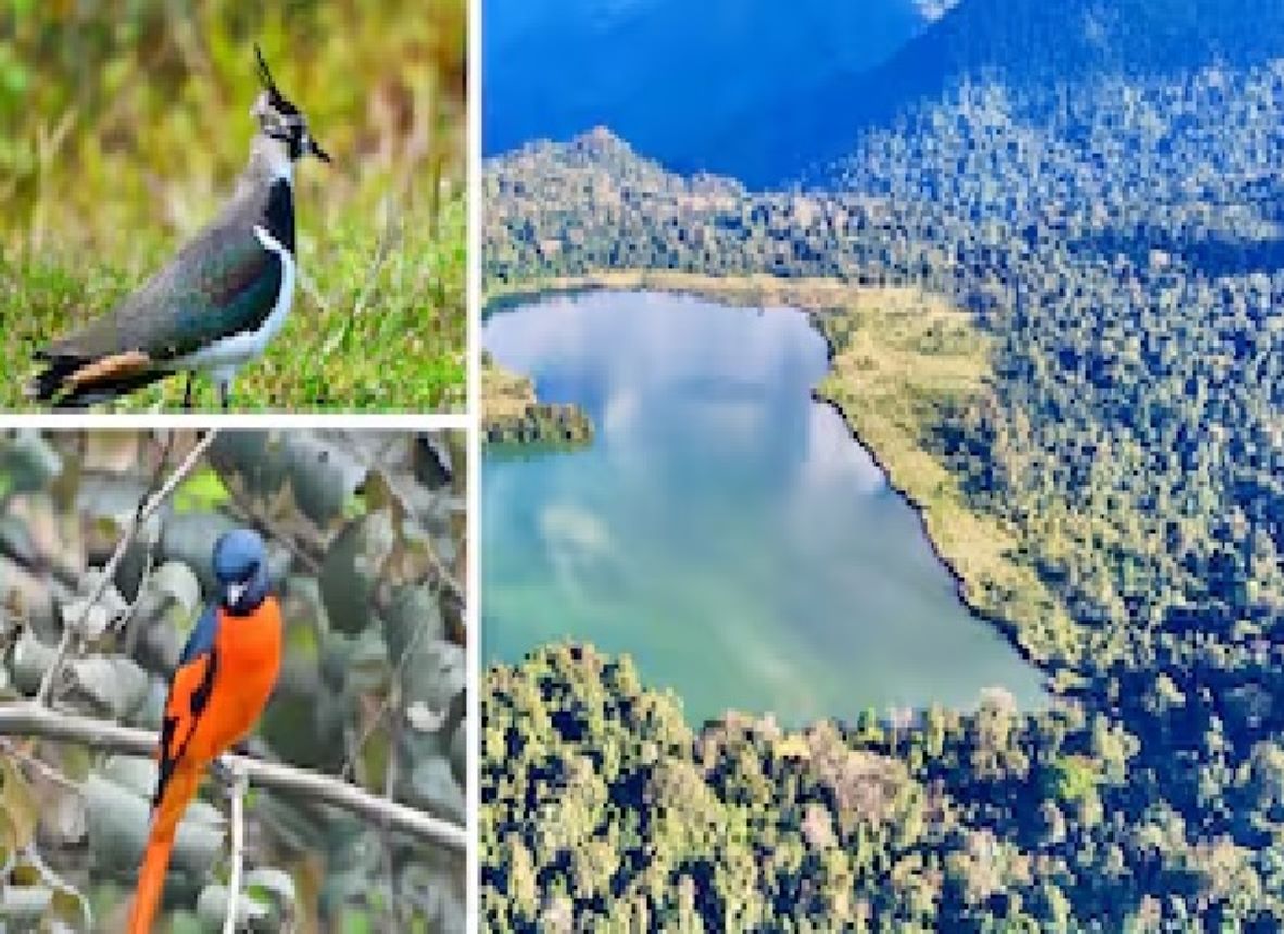Glow Lake in Arunachal Pradesh has been designated as a Wetland of International Importance (Ramsar Site) under the Ramsar Convention